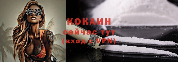 бошки Вязьма