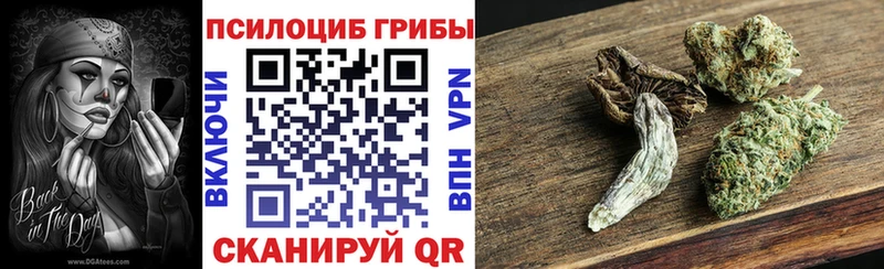 Галлюциногенные грибы Psilocybine cubensis Губкин