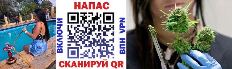 Канабис VHQ Губкин