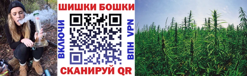 Бошки Шишки индика  Губкин 